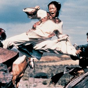 Foto Tigre y Dragón