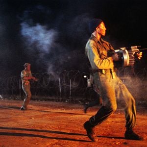 Foto Los perros de la guerra