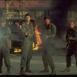 Foto Los perros de la guerra