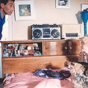 Foto Cada uno busca su gato