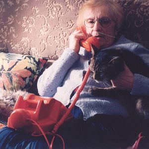 Foto Cada uno busca su gato