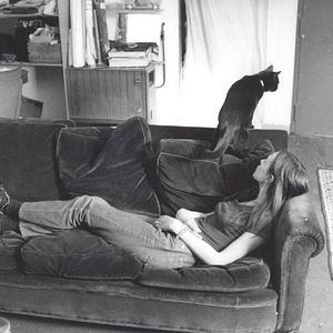 Foto Cada uno busca su gato