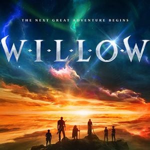 Foto Willow