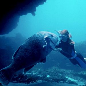 Foto Nadando en libertad