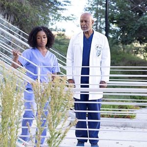 Foto Anatomía de Grey