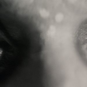 Foto La maldición del Hombre Lobo