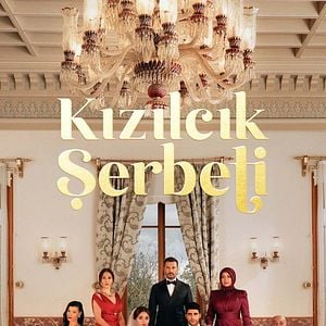 Foto Kızılcık Şerbeti