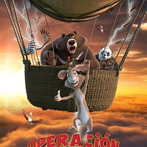 Foto Operación bebé oso