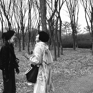 Foto La novelista y su película