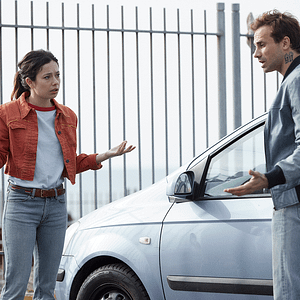 Foto Girasoles silvestres