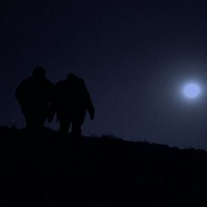 Foto Los osos no existen