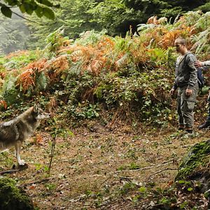 Foto Levi Eisenblätter