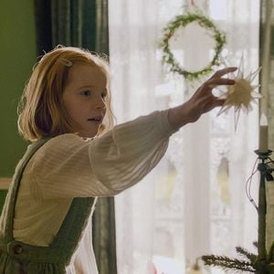 Foto Teddy, la magia de la Navidad