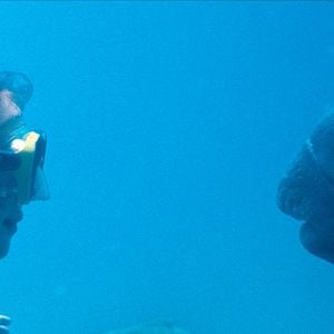 Foto Nadando en libertad