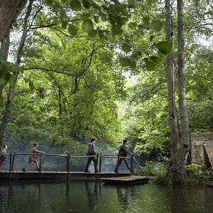 Foto La guerra de los Lulus