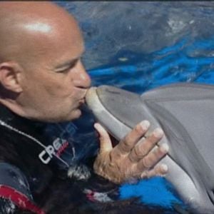 Foto ¿Qué le pasó al rey de los delfines?