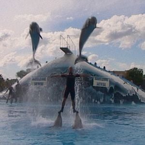 Foto ¿Qué le pasó al rey de los delfines?