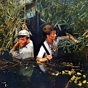 Foto Katharine Hepburn