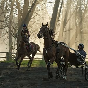 Foto Zoe y Tempestad