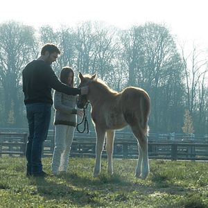 Foto Zoe y Tempestad