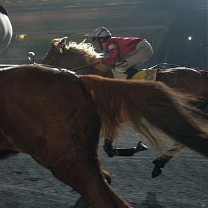 Foto Zoe y Tempestad