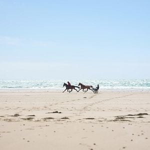 Foto Zoe y Tempestad