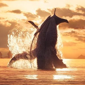 Foto Avatar: El sentido del agua