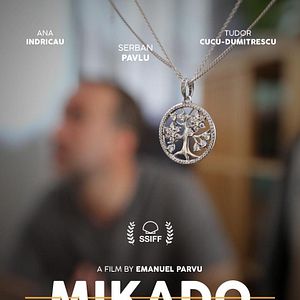 Foto Mikado