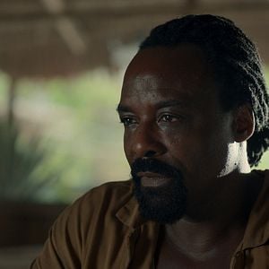 Foto La costa de los mosquitos