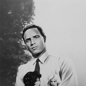 Foto Piel de serpiente