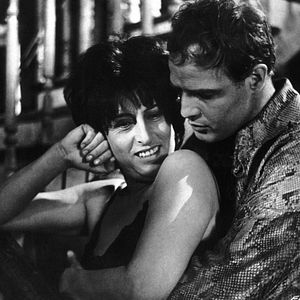 Foto Piel de serpiente