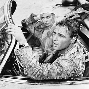 Foto Piel de serpiente