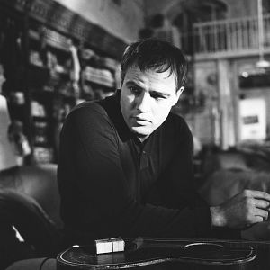 Foto Piel de serpiente