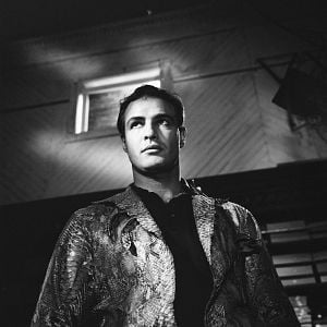 Foto Piel de serpiente