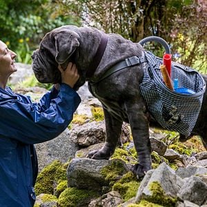 Foto Corinne Masiero