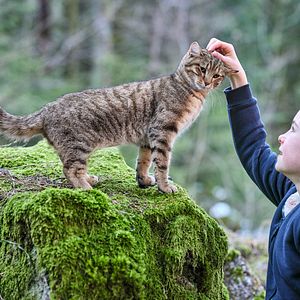 Foto Capucine Sainson-Fabresse