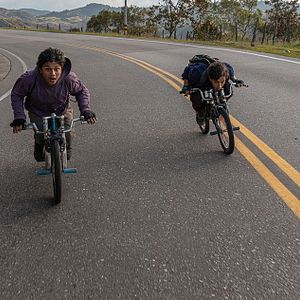Foto Los reyes del mundo