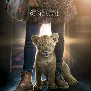 Foto King, mi pequeño rey