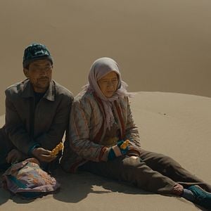 Foto El regreso de las golondrinas