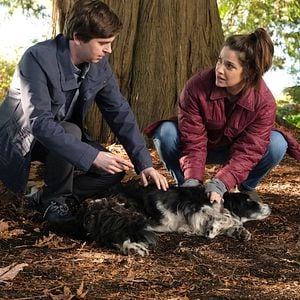 Foto Freddie Highmore