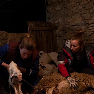 Foto Lo que queda de ti