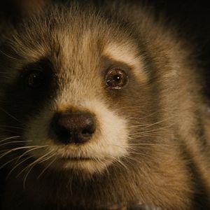 Foto Guardianes de la Galaxia: Volumen 3