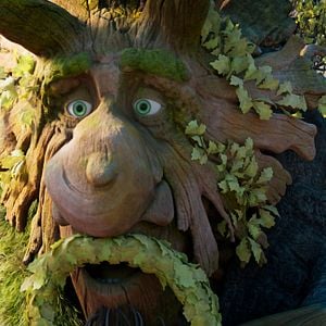 Foto Mavka, guardiana del bosque