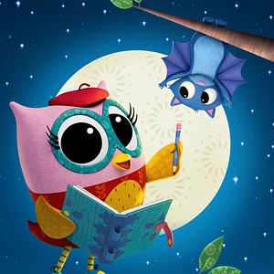 Foto Diario de una lechuza