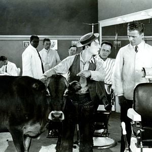 Foto El rey de los cowboys