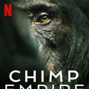 Foto El imperio de los chimpancés