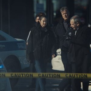 Foto Shailene Woodley