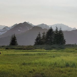 Foto Animales a lo grande