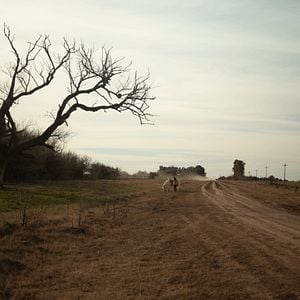 Foto Trenque Lauquen parte II