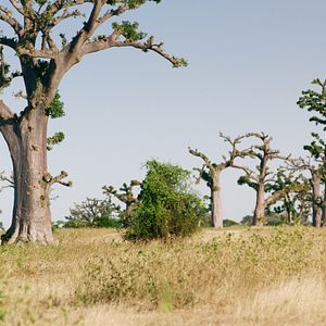 Foto Nadège Bibo-Tansia